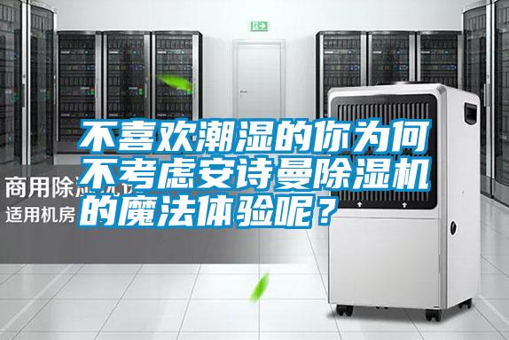 不喜歡潮濕的你為何不考慮安詩曼除濕機的魔法體驗呢？