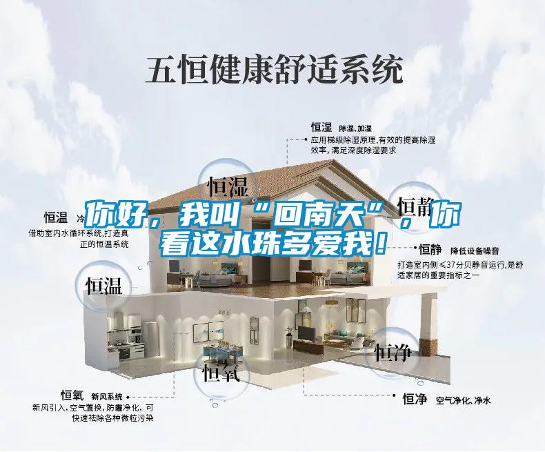 你好，我叫“回南天”，你看這水珠多愛我！
