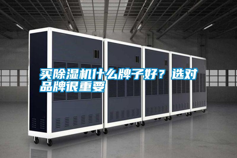 買除濕機什么牌子好？選對品牌很重要