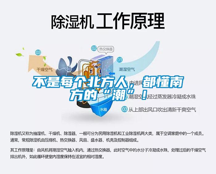 不是每個北方人，都懂南方的“潮”！