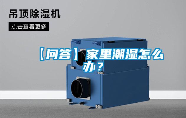 【問(wèn)答】家里潮濕怎么辦？