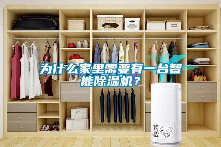 為什么家里需要有一臺智能除濕機？