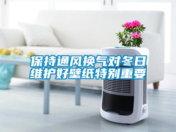 保持通風(fēng)換氣對(duì)冬日維護(hù)好壁紙?zhí)貏e重要