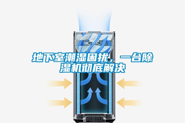 地下室潮濕困擾，一臺(tái)除濕機(jī)徹底解決