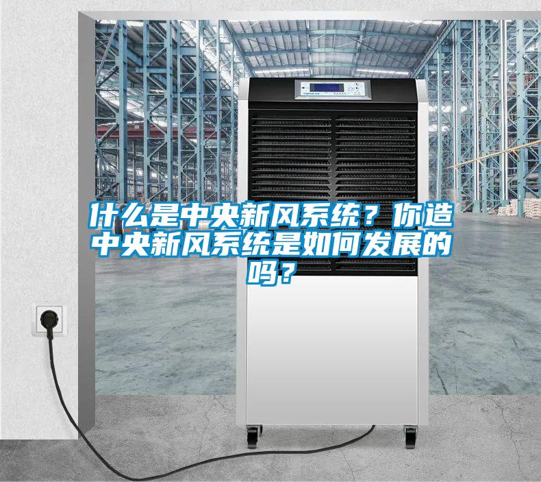 什么是中央新風系統？你造中央新風系統是如何發展的嗎？