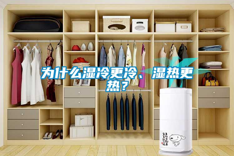 為什么濕冷更冷、濕熱更熱？