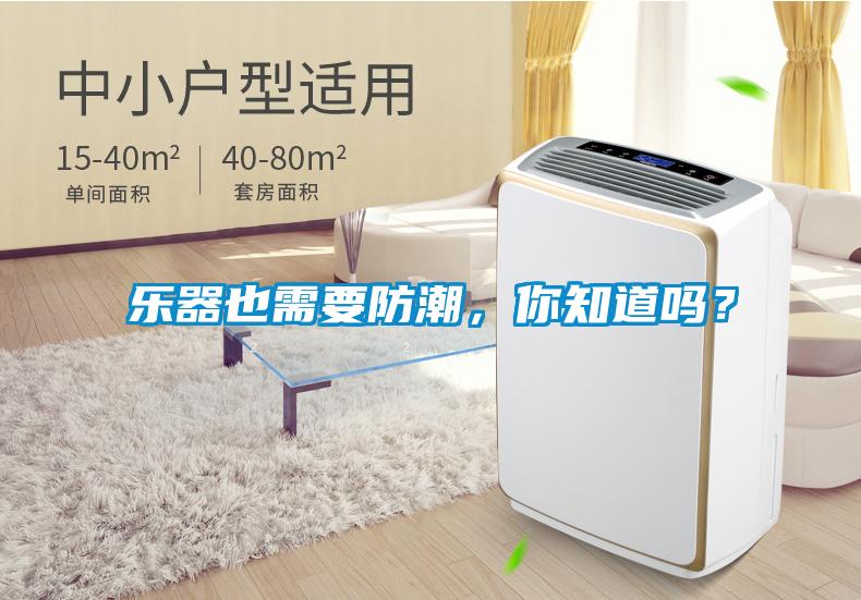 樂器也需要防潮，你知道嗎？