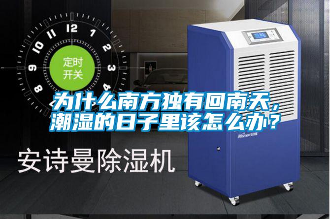 為什么南方獨有回南天，潮濕的日子里該怎么辦？