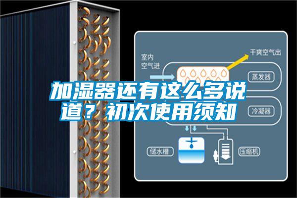 加濕器還有這么多說道？初次使用須知