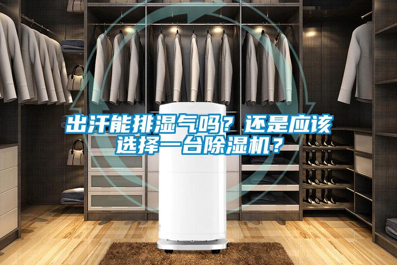 出汗能排濕氣嗎？還是應(yīng)該選擇一臺(tái)除濕機(jī)？