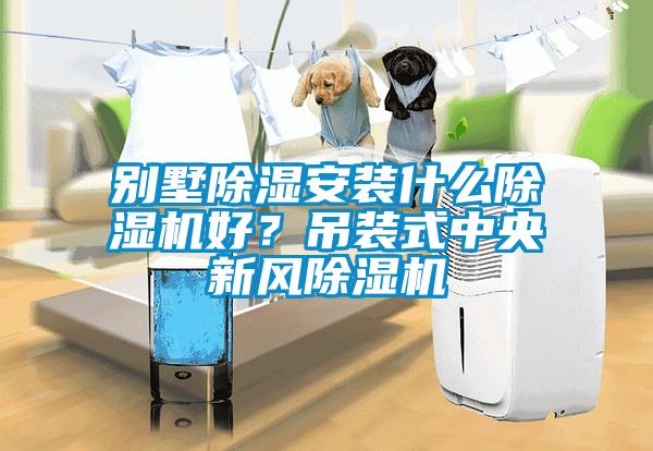 別墅除濕安裝什么除濕機好？吊裝式中央新風除濕機