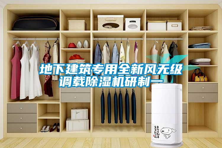 地下建筑專用全新風(fēng)無級(jí)調(diào)載除濕機(jī)研制一