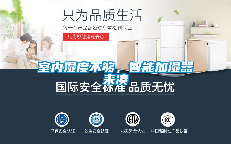 室內濕度不夠，智能加濕器來湊