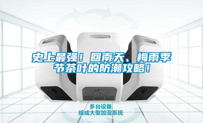 史上最強！回南天、梅雨季節茶葉的防潮攻略！