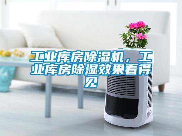 工業庫房除濕機，工業庫房除濕效果看得見
