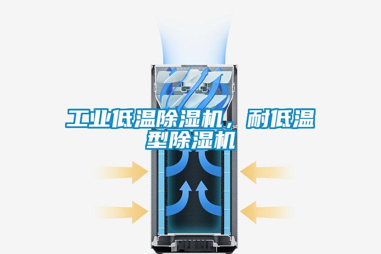 工業低溫除濕機，耐低溫型除濕機