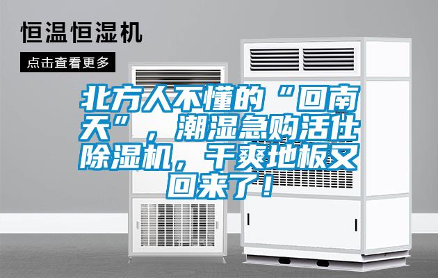 北方人不懂的“回南天”，潮濕急購活仕除濕機，干爽地板又回來了！