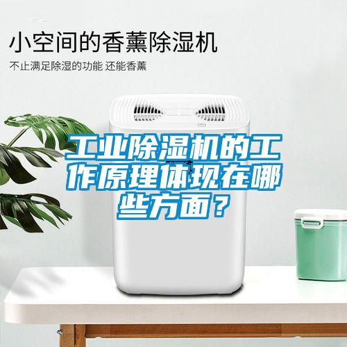 工業除濕機的工作原理體現在哪些方面？