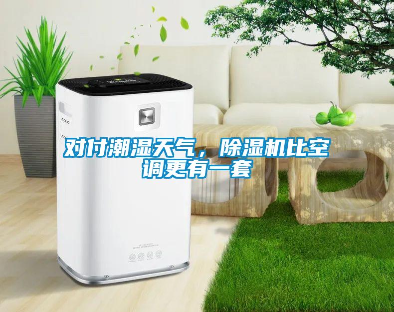 對(duì)付潮濕天氣，除濕機(jī)比空調(diào)更有一套