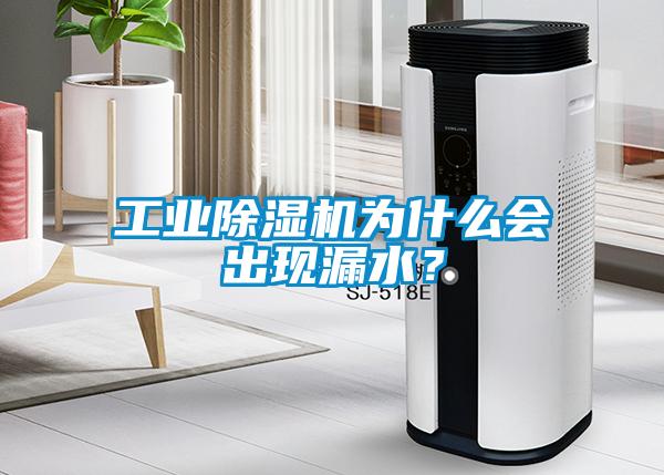 工業(yè)除濕機(jī)為什么會出現(xiàn)漏水？