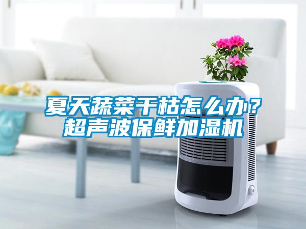 夏天蔬菜干枯怎么辦？超聲波保鮮加濕機(jī)