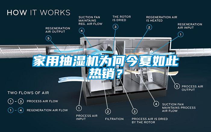 家用抽濕機(jī)為何今夏如此熱銷(xiāo)？