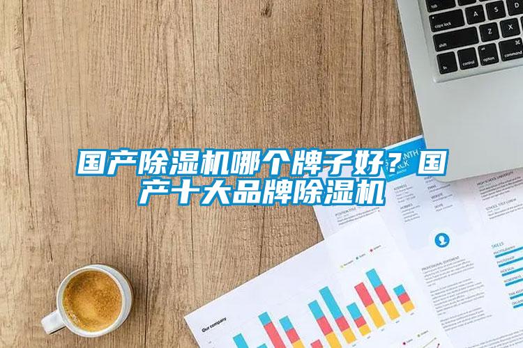 國產(chǎn)除濕機(jī)哪個牌子好？國產(chǎn)十大品牌除濕機(jī)