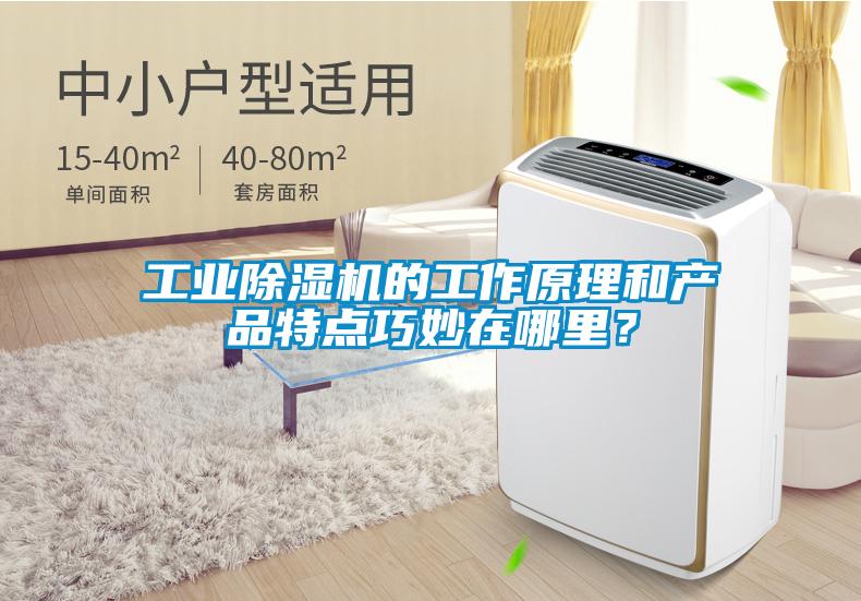 工業除濕機的工作原理和產品特點巧妙在哪里？