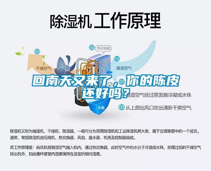 回南天又來了，你的陳皮還好嗎？