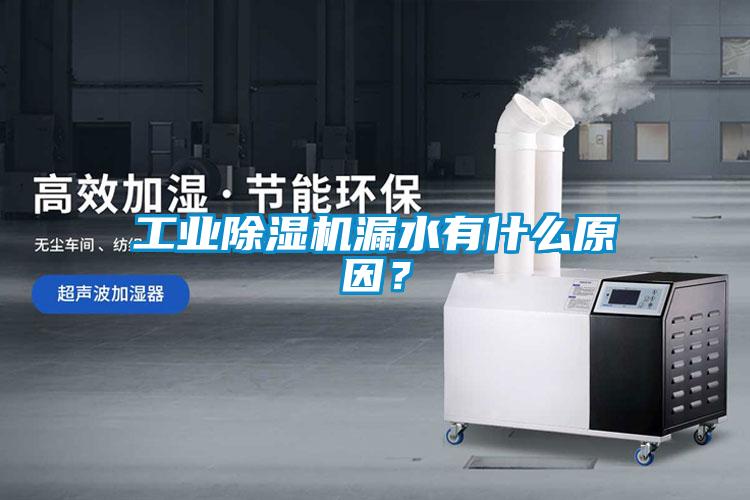 工業(yè)除濕機(jī)漏水有什么原因？