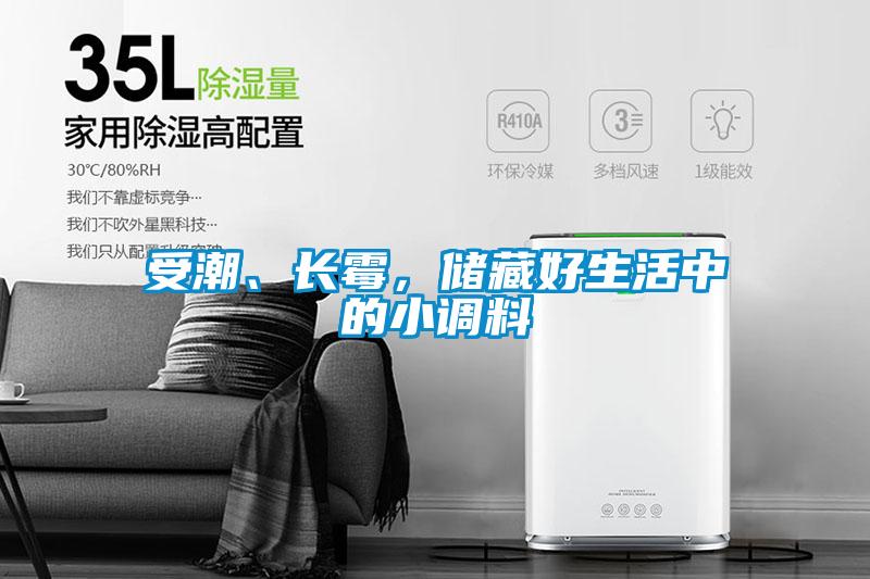 受潮、長霉，儲藏好生活中的小調(diào)料