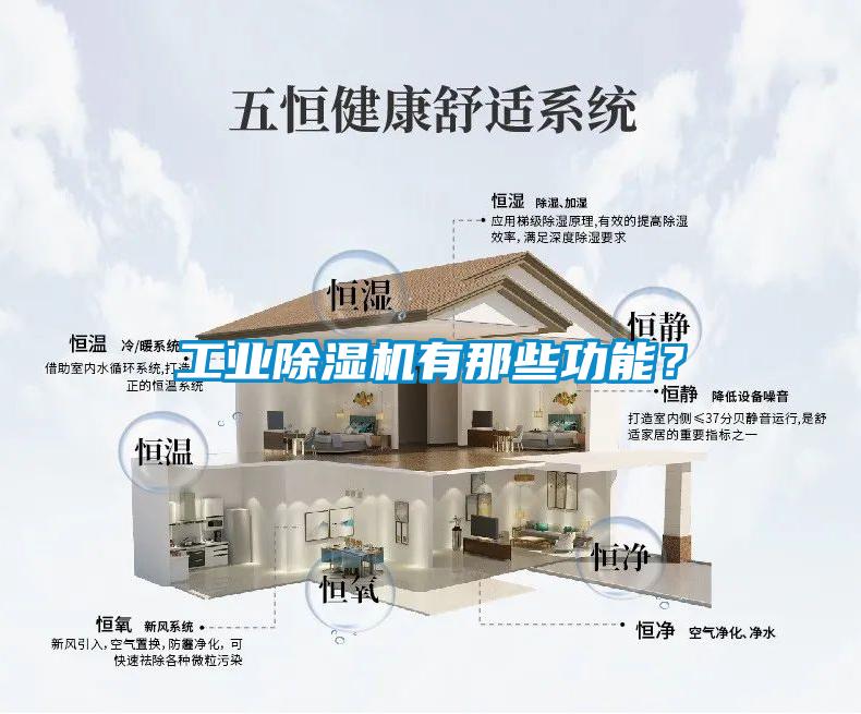 工業(yè)除濕機(jī)有那些功能？