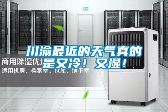 川渝最近的天氣真的是又冷！又濕！
