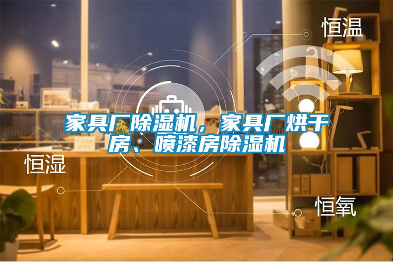 家具廠除濕機(jī)，家具廠烘干房、噴漆房除濕機(jī)
