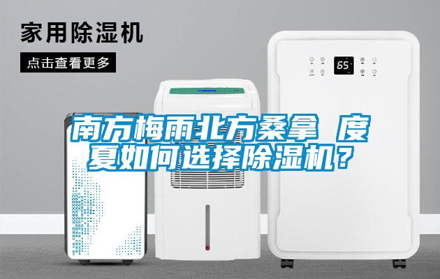 南方梅雨北方桑拿 度夏如何選擇除濕機(jī)？