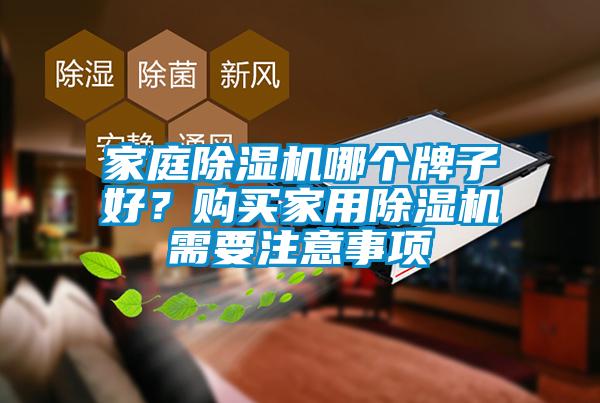家庭除濕機(jī)哪個(gè)牌子好？購(gòu)買(mǎi)家用除濕機(jī)需要注意事項(xiàng)