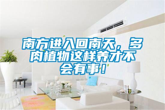 南方進入回南天，多肉植物這樣養才不會有事！