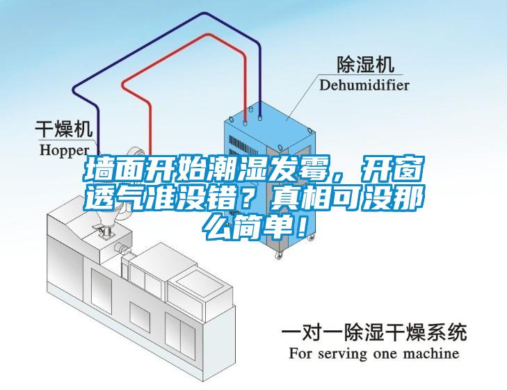 墻面開始潮濕發霉，開窗透氣準沒錯？真相可沒那么簡單！
