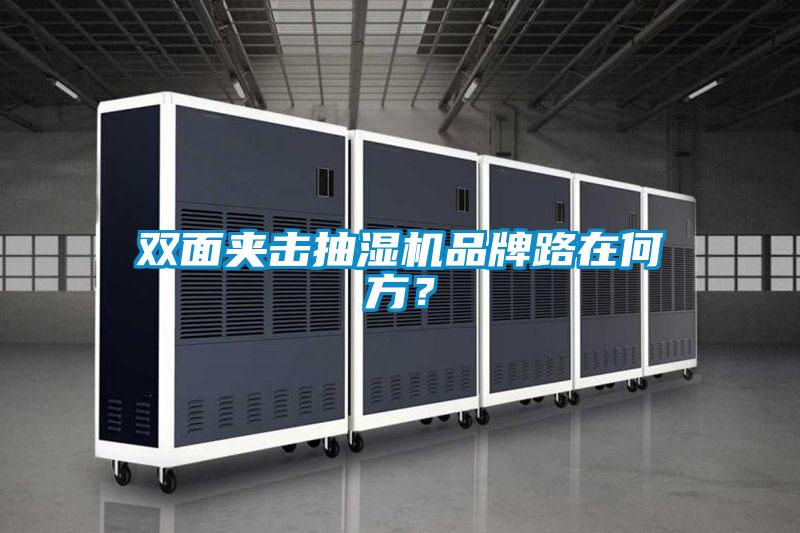 雙面夾擊抽濕機品牌路在何方？