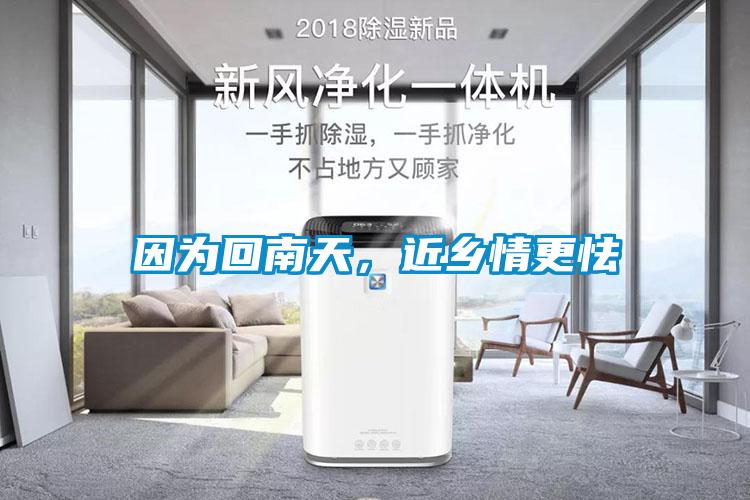 因為回南天，近鄉情更怯
