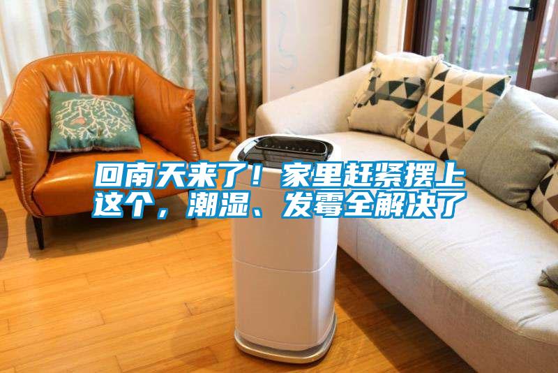 回南天來了！家里趕緊擺上這個，潮濕、發(fā)霉全解決了
