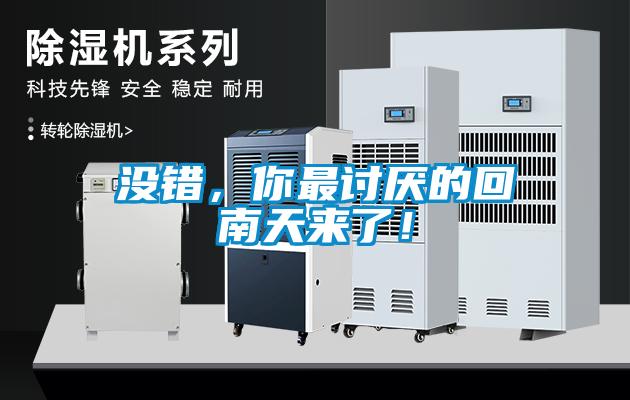 沒錯，你最討厭的回南天來了！