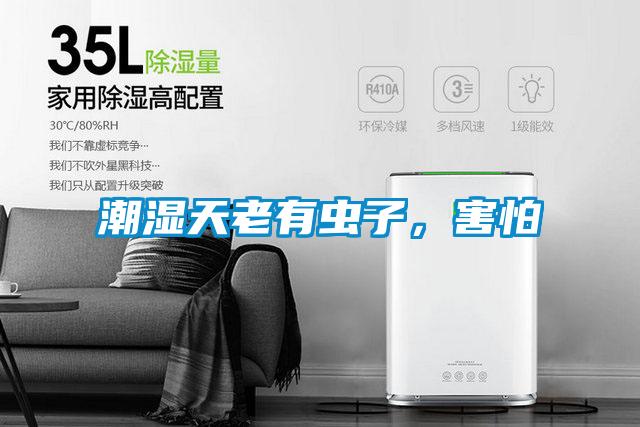 潮濕天老有蟲(chóng)子，害怕