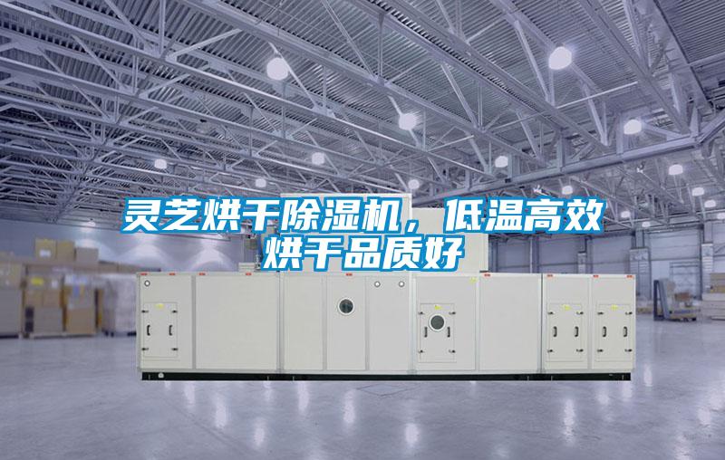 靈芝烘干除濕機，低溫高效烘干品質好