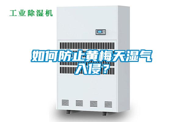 如何防止黃梅天濕氣入侵？