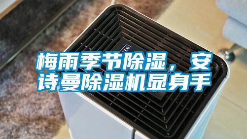梅雨季節除濕，安詩曼除濕機顯身手