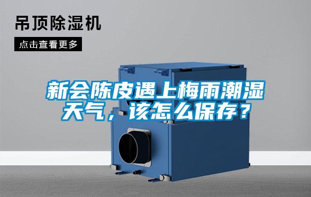 新會(huì)陳皮遇上梅雨潮濕天氣，該怎么保存？