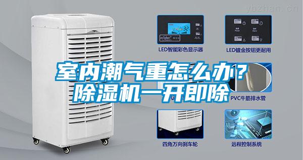 室內潮氣重怎么辦？除濕機一開即除