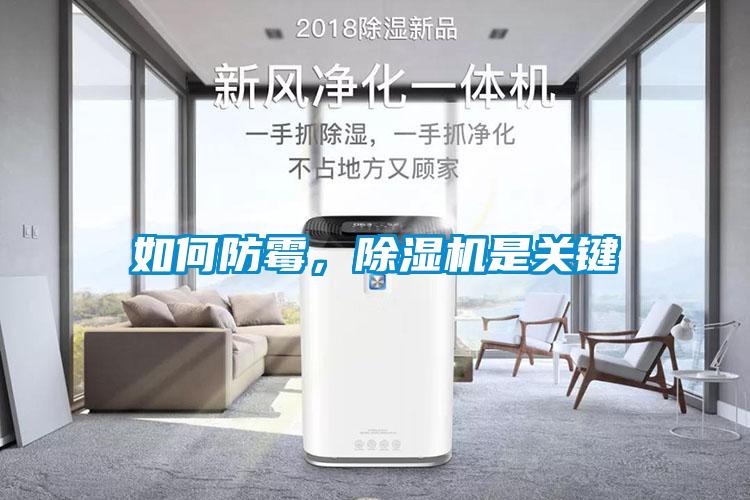 如何防霉，除濕機是關鍵