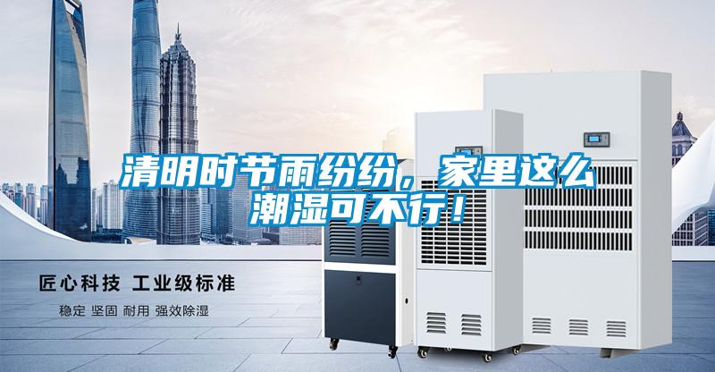 清明時(shí)節(jié)雨紛紛，家里這么潮濕可不行！